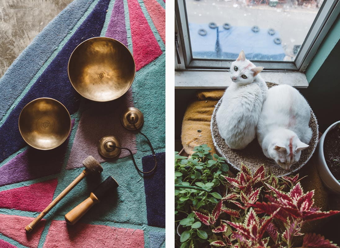 Hong Kong artist Shane Aspegren's studio includes sound instruments and his two cats