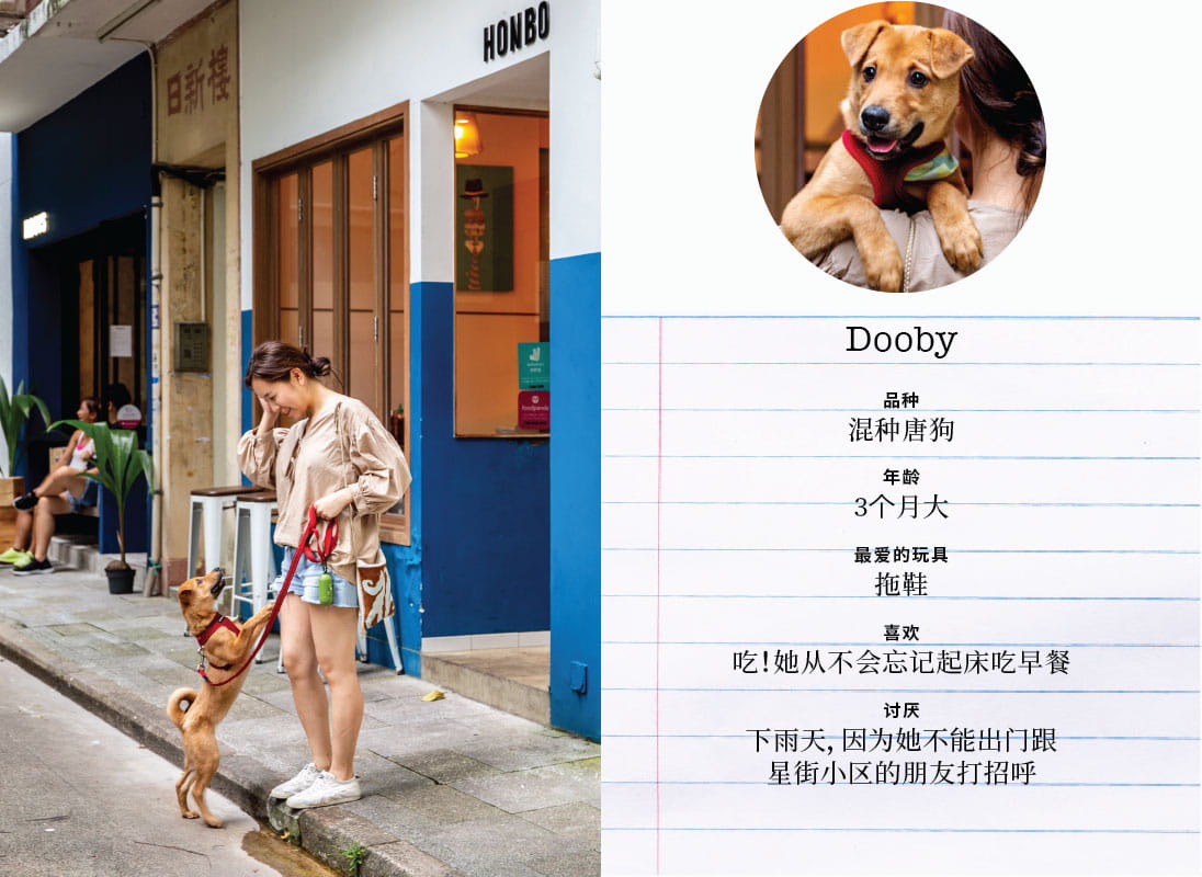 Some of our favourite dogs from Starstreet Precinct
