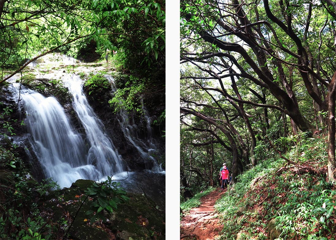 You’ll find scenic serenity in the greenery-filled Kap Lung Ancient Trail