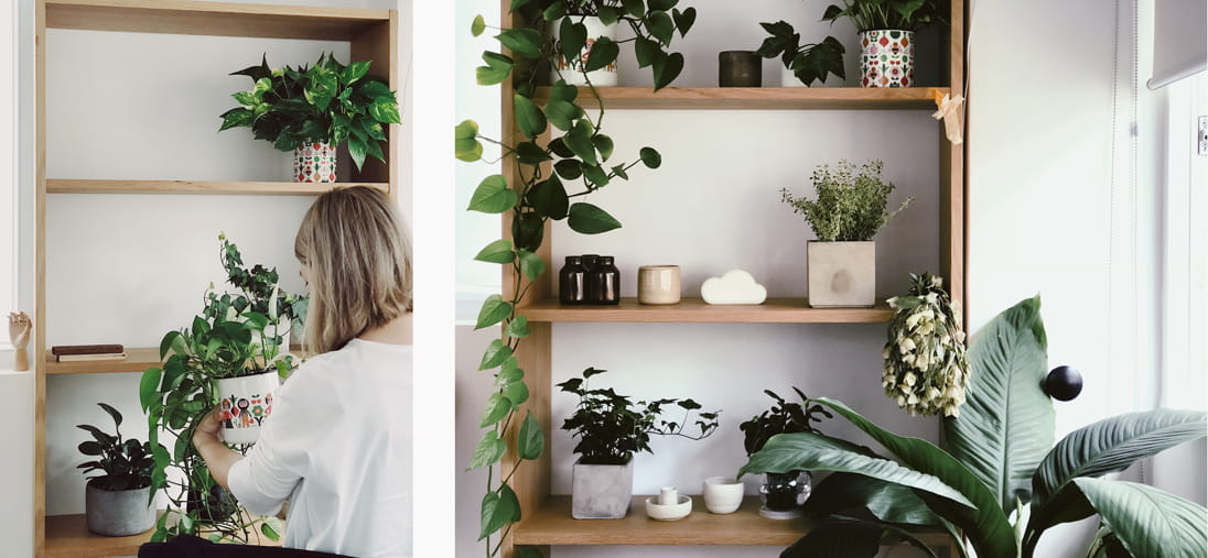 Plants are always on-trend, they’re inexpensive and their effect can be seen and felt immediately 