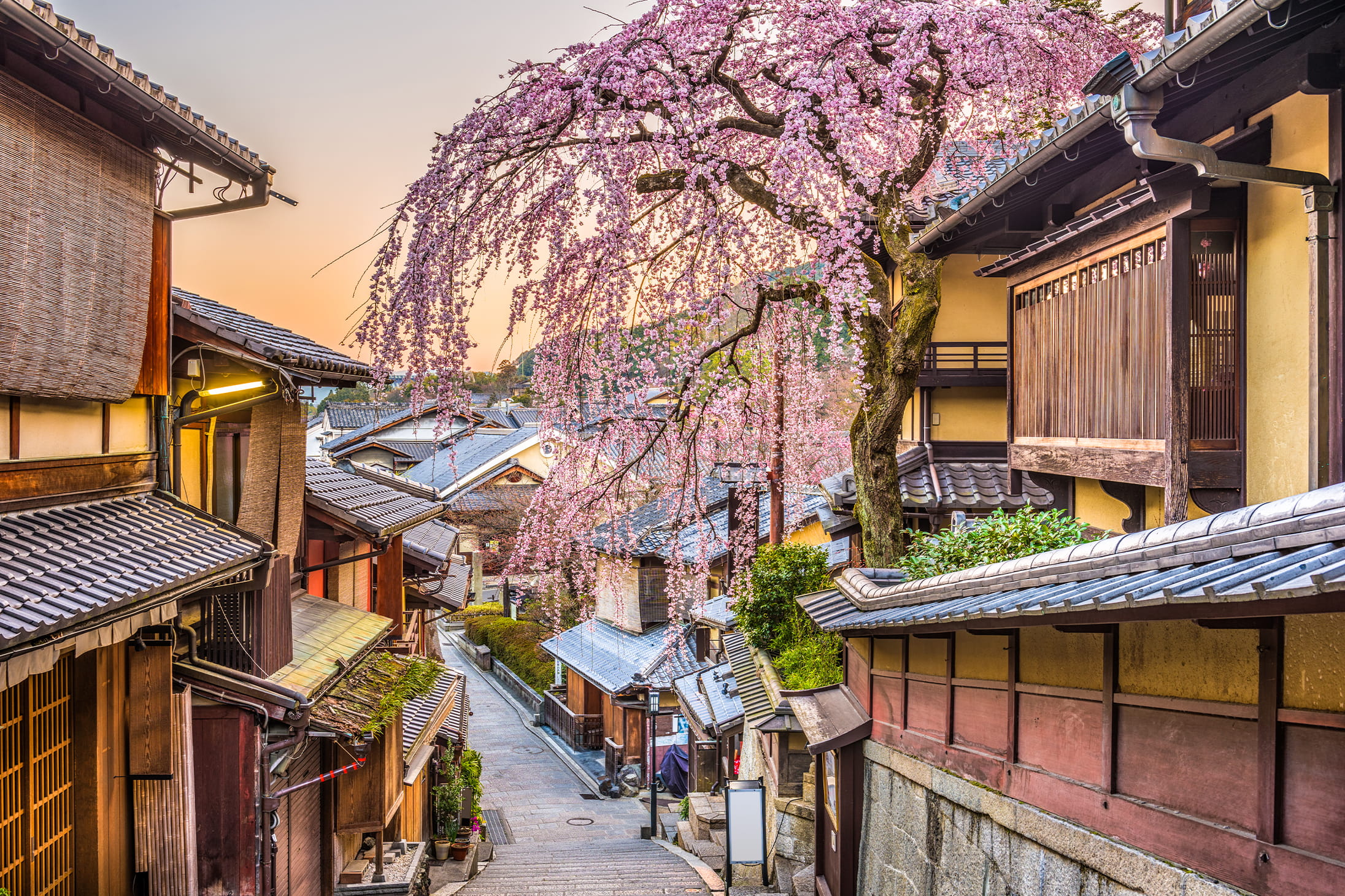Culture trips around the world, Kyoto