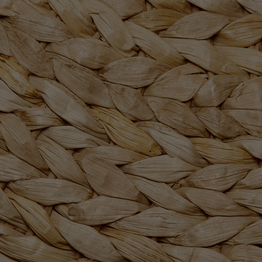 5 New It Bags to Know in 2022 The Style Sheet Pacific Place