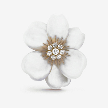 Van Cleef Arpels Rose de Noel Clip