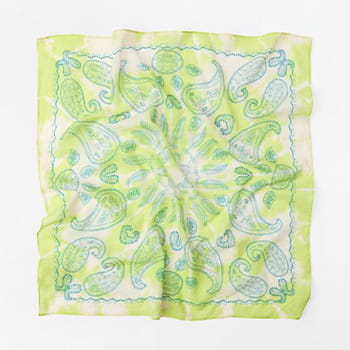 Zara Small Printed Scarf in Lime