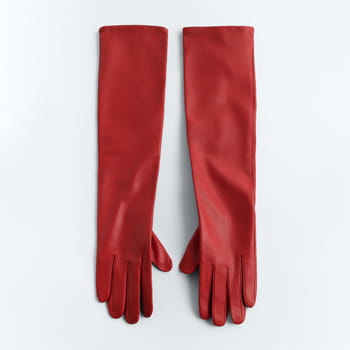 Zara Long Leather Gloves