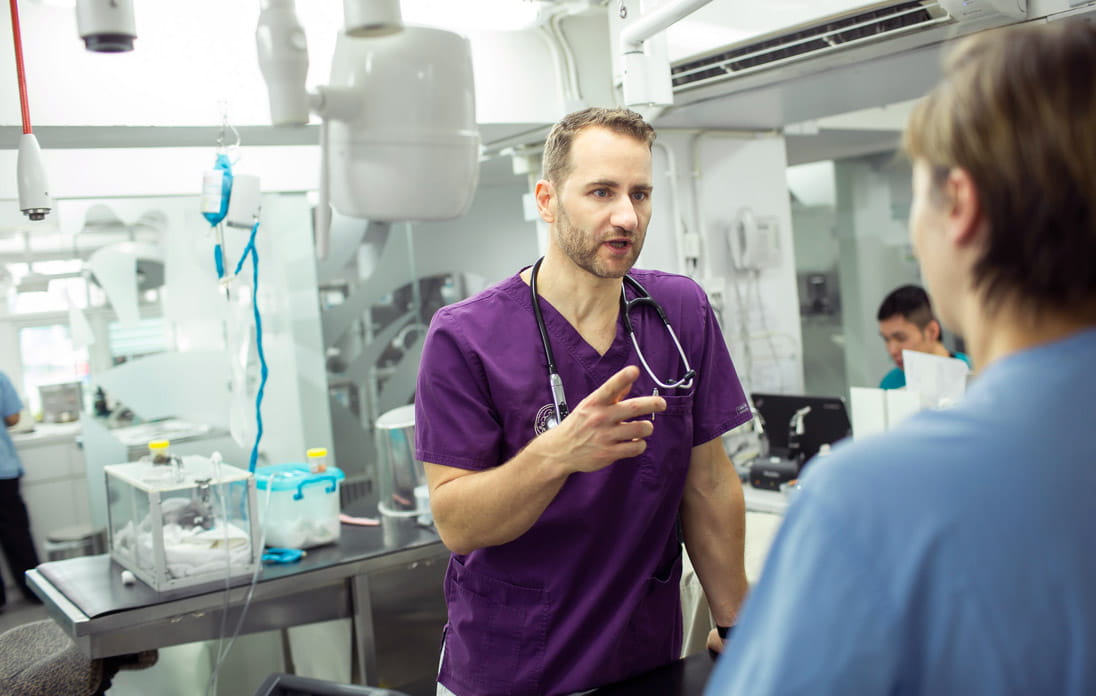 Dr Zoltan Szabo, a veterinarian specialising in exotic animals, consults with a colleague at Tai Wai Small Animal and Exotic Hospital