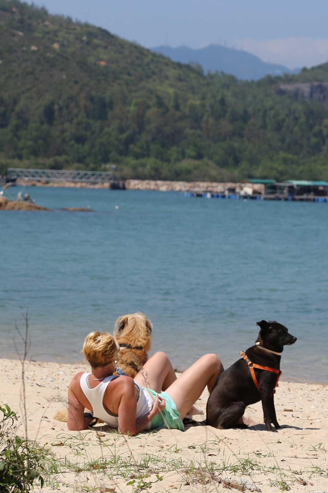 Dog-friendly beaches in Hong Kong