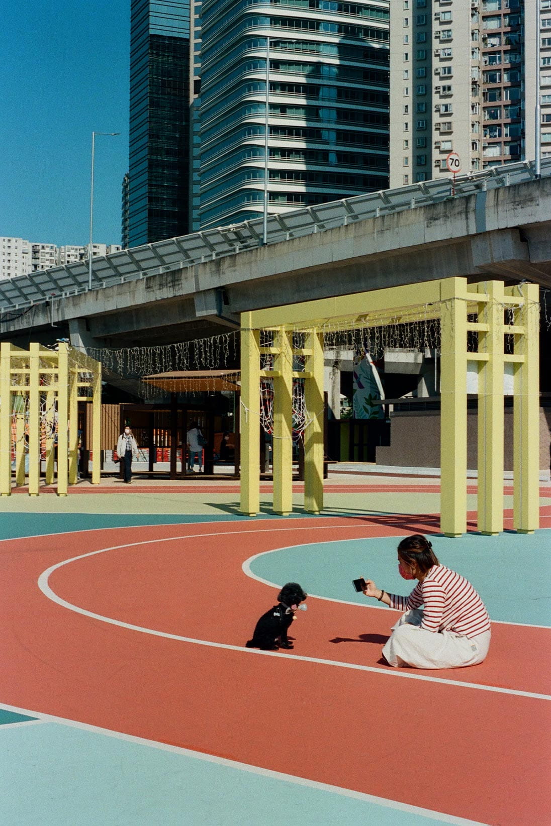 Dog-friendly parks in Hong Kong