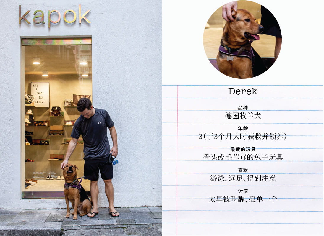 Some of our favourite dogs from Starstreet Precinct