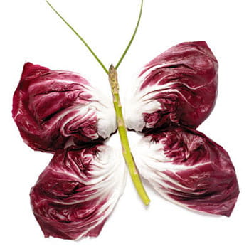 Pret Greens, Grains & Chicken Salad