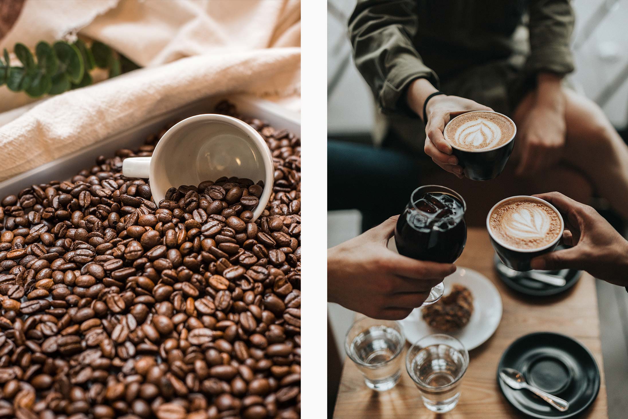Coffee beans and prepared coffee available at Elephant Grounds Starstreet Precinct