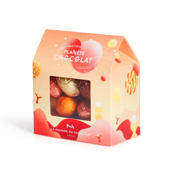 La Maison du Chocolat Assorted Praline Eggs Case
