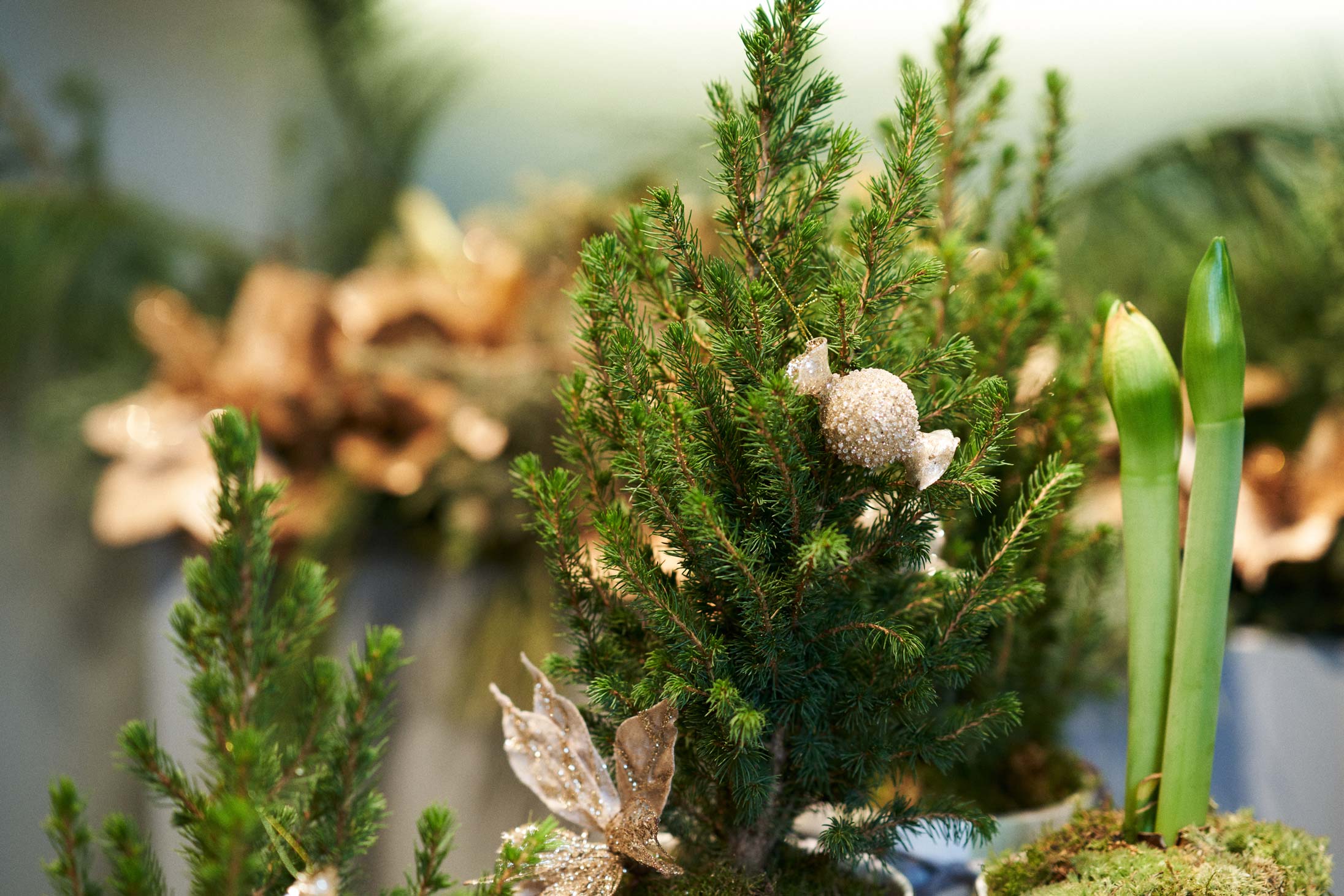 Arrangements at Libertine Flowers Pacific Place
