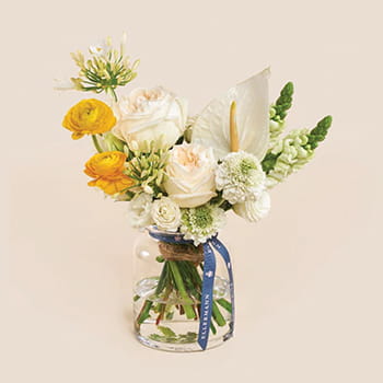 Ellermann White Delight In A Vase 