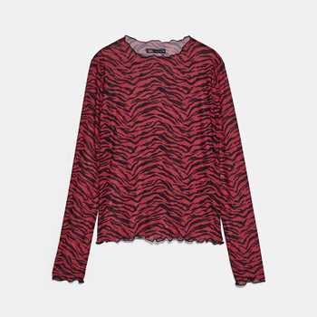 Zara Long Sleeve Top with Tulle