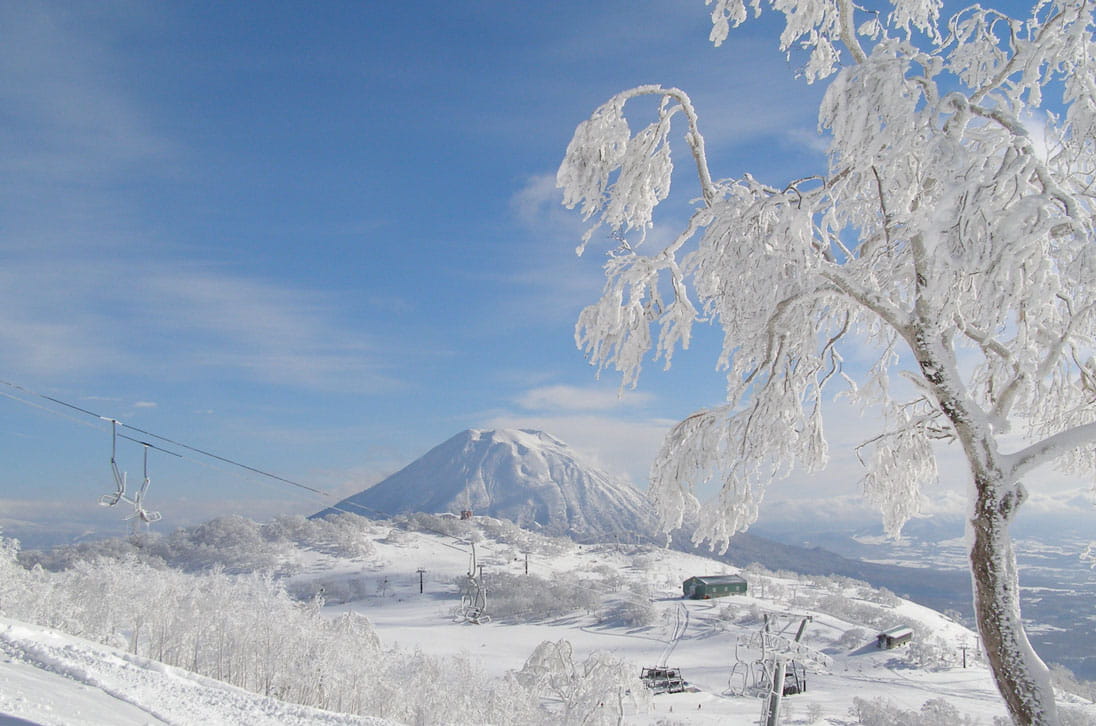 梦幻的粉雪乐园