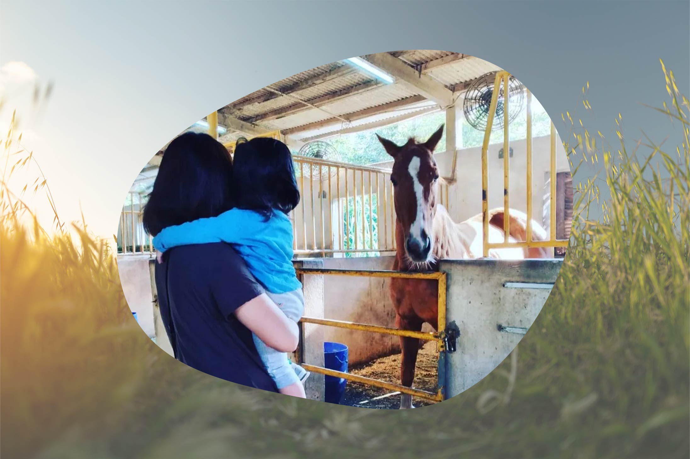 Horses at Tai Tong Organic Ecopark