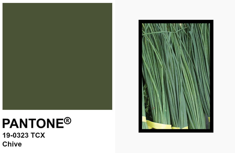 Pantone Chive