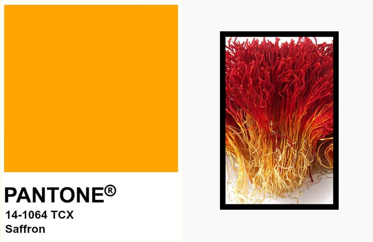 Pantone Saffron
