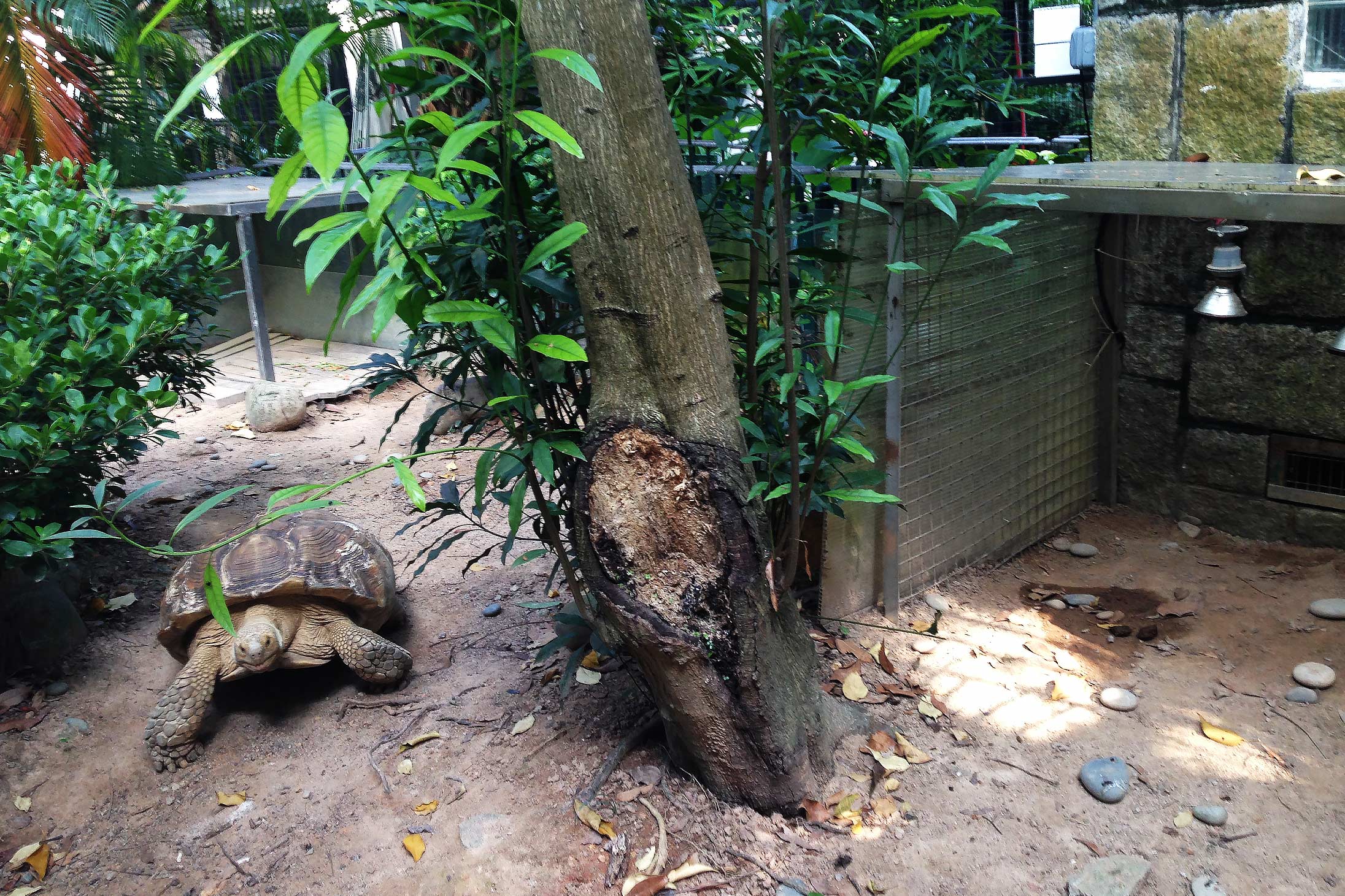 Zoological And Botanical Gardens