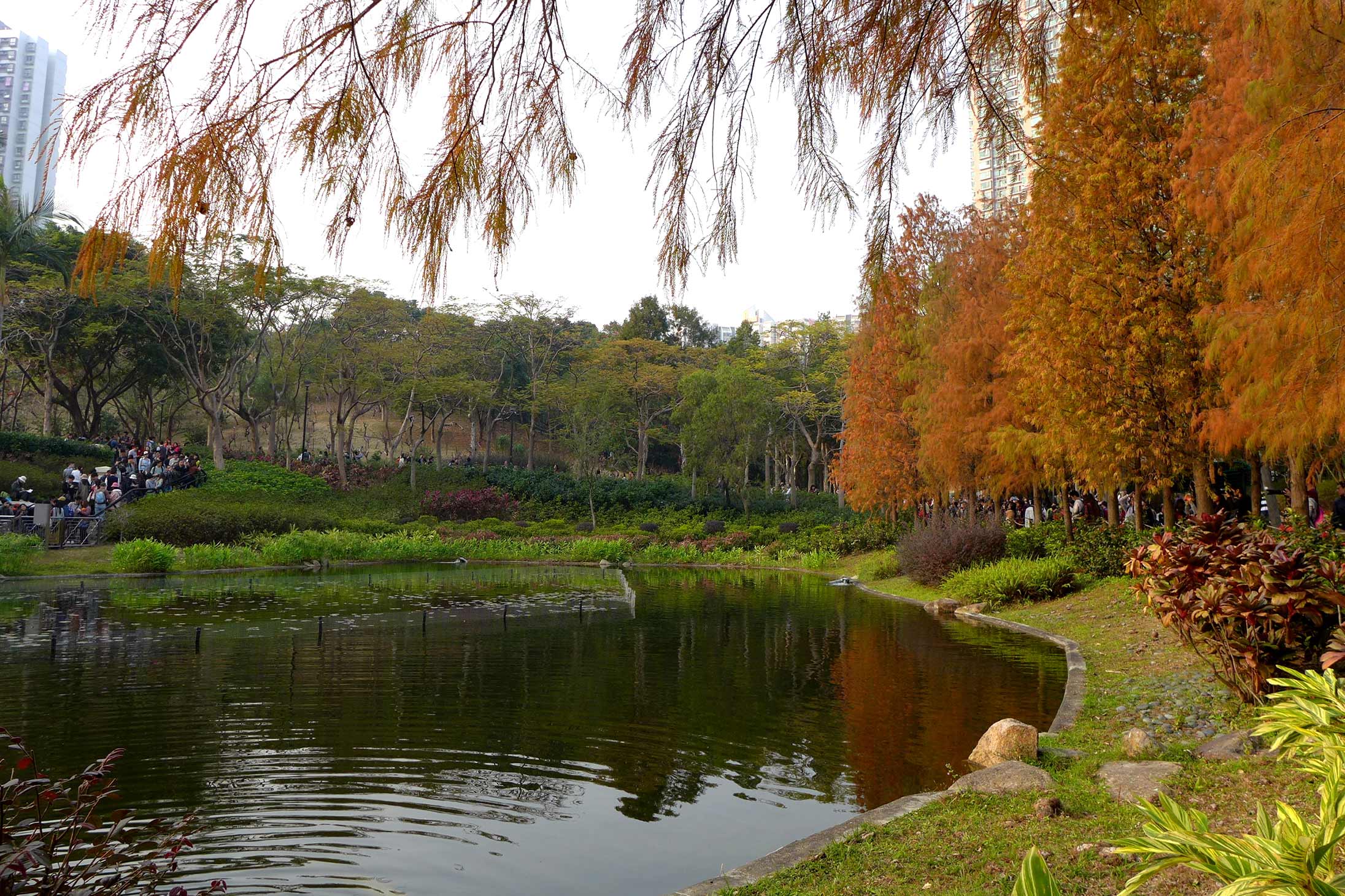 Tsing Yi Park