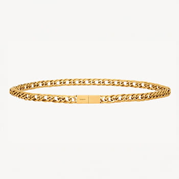 Saint Laurent Thin Chain Belt in Light Bronze Free