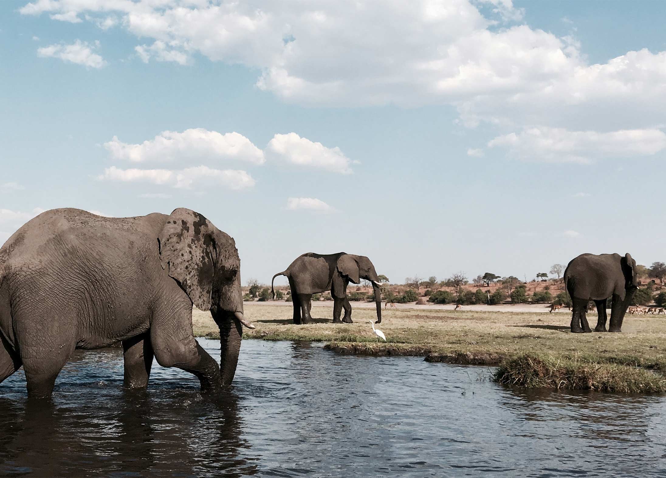 Travel destinations for 2023, Botswana
