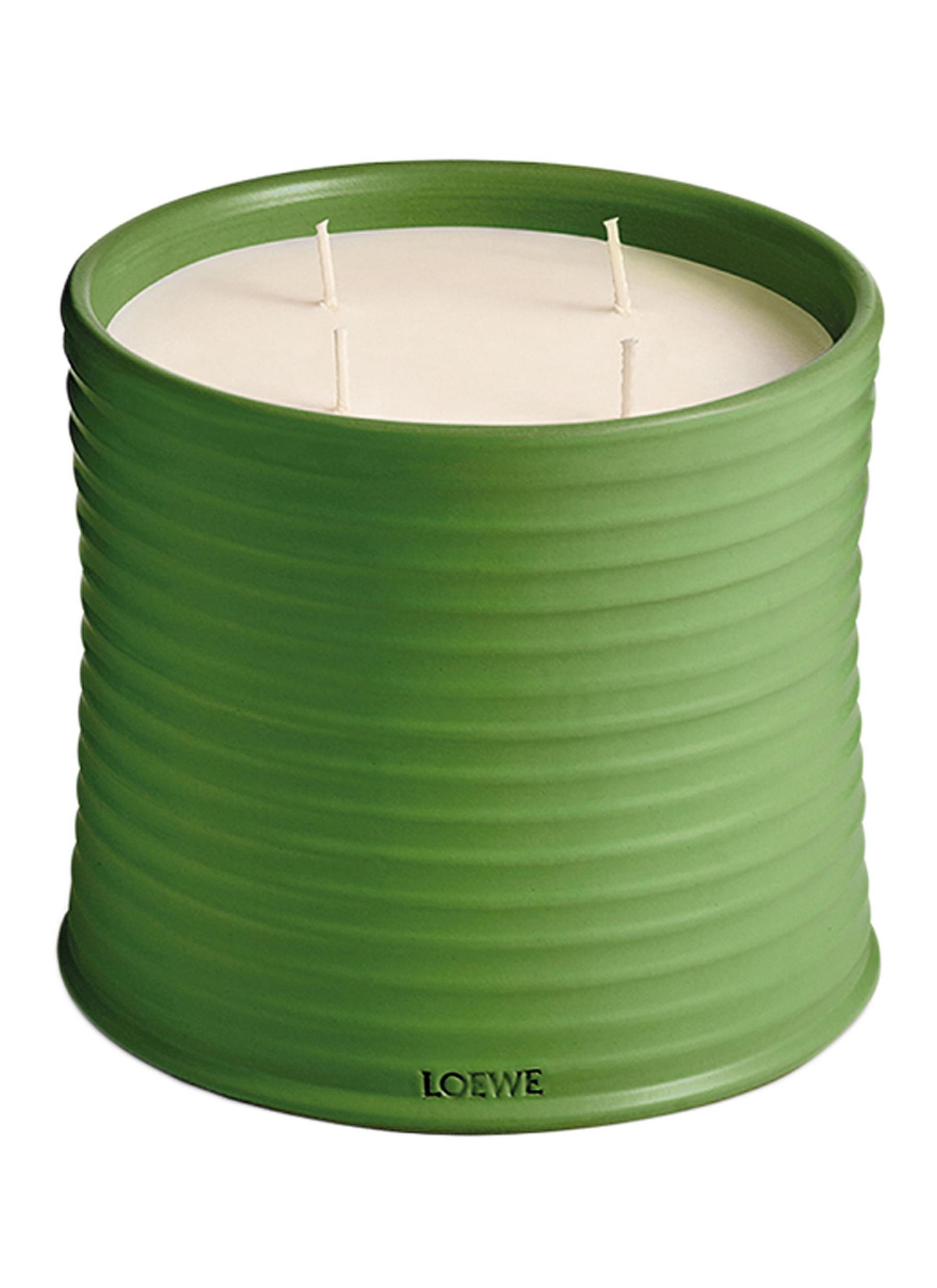 LOEWE Luscious Pea Large Candle available at Lane Crawford Home