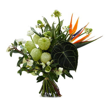 Ellermann x Lane Crawford Verdant Splendour Extra Large Arrangement available at Lane Crawford Home