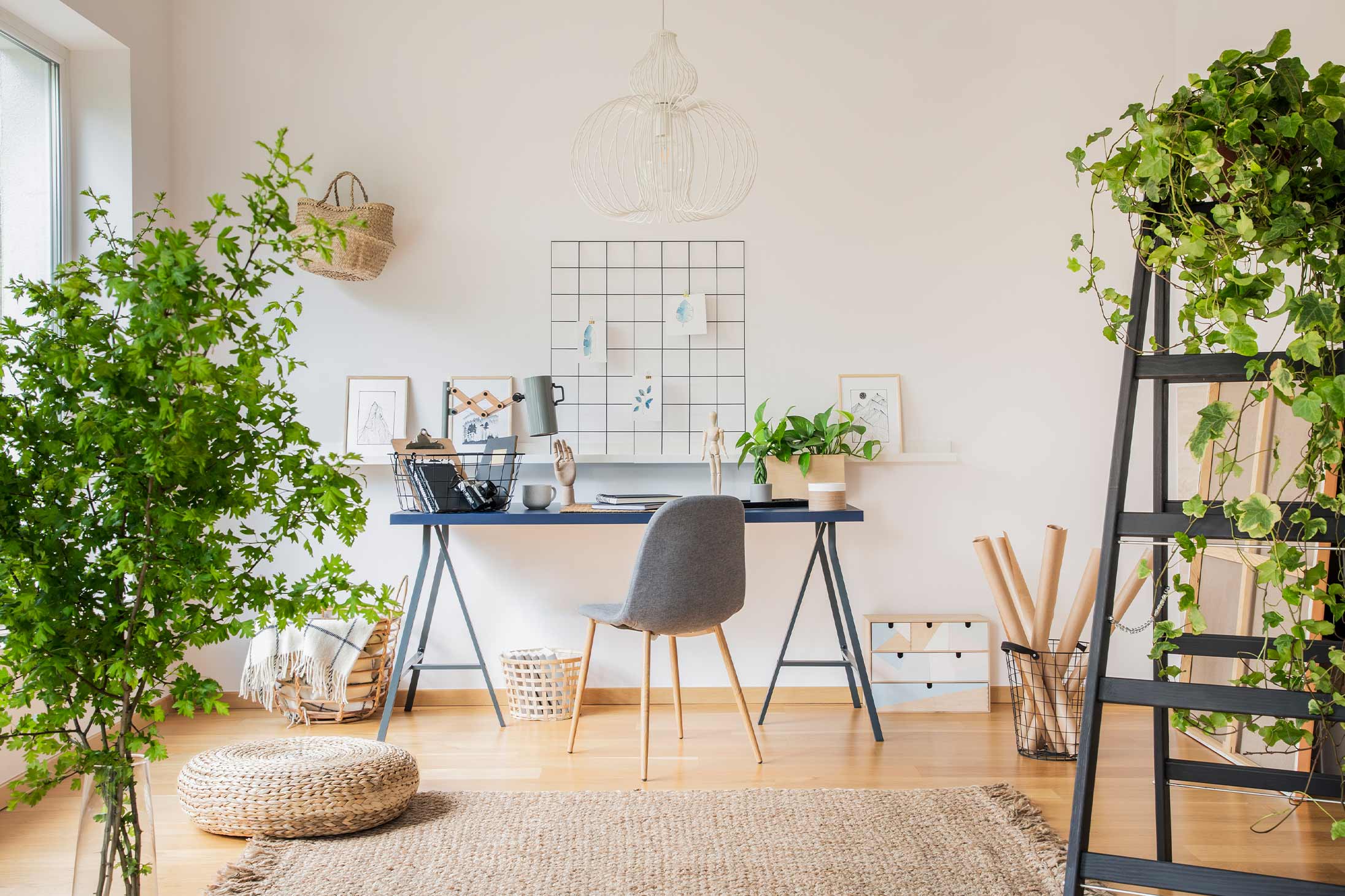 Improving your working from home space